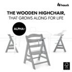 Hauck Alpha+ Premium Bundle - Grey - Image 2